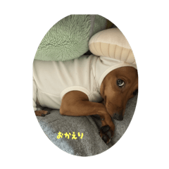 MINIPIN_20251225212550