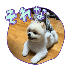 satomin_20251225213803