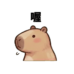 【哭阿粿】社畜水豚：頂著壓力活下去