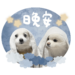 傻傻天兵兩兄妹❤️