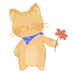 Orange funny Meow