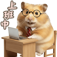 黃金鼠 倉鼠的生活日常