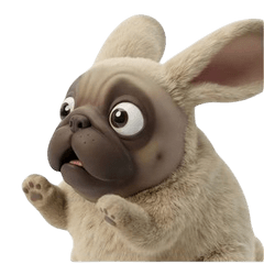 活力巴哥兔 (ANM)