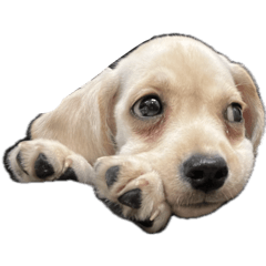 Monmon_20251225223217