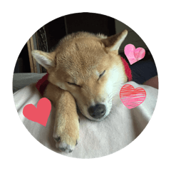 HARUNA_20251225211537