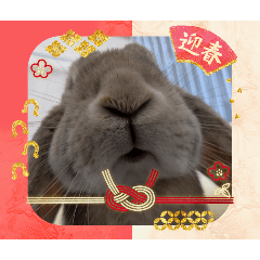 YUKIKO_20251225232837