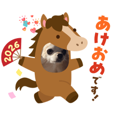 どっかの子犬のスタンプ2026年