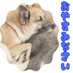 カイトくん＆ヒカリちゃんのほっこり日和