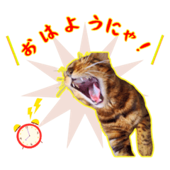 kikimaru_20251225182723