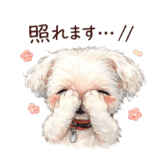 sophy_20251225222226