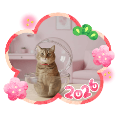 syogayuzuko_20251226102217