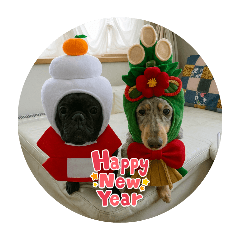 mayumi  house_20251226104109