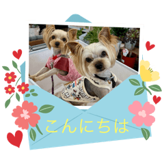 YUFURIN_20251226104021