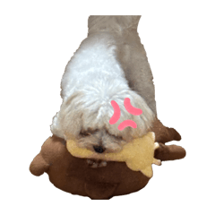 yuina_20251226103301