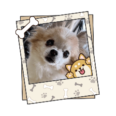 かわいいスタンプ出来た