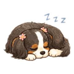 Marimari_20251225192734