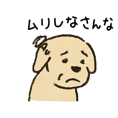 mattaripan_Advice from an Old Dog