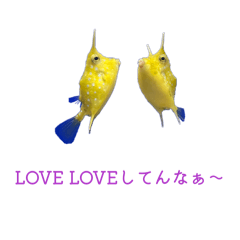 face stamp_20251225202746