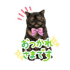 Yukiko_20251225210806