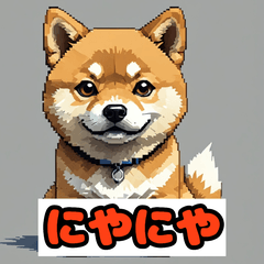 毎日使える！ニヤリ柴犬の感情スタンプ