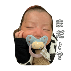 yukari_20251225230527