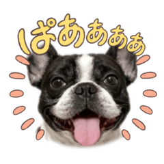 C C C_20251225231654