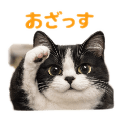 to_sun_20251225232007