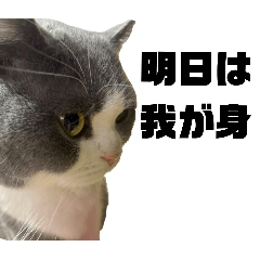 kawamu_20251226004840