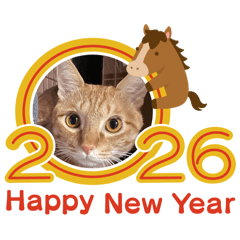 maaay_20251226065306