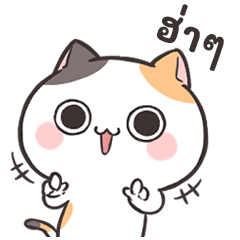 แมวขี้เกียจ ปากร้าย