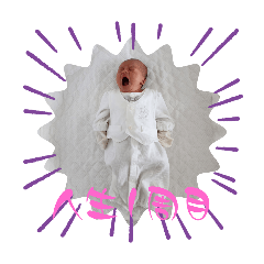 tanuki_20251224150554