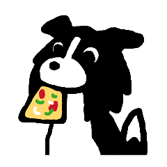 ボーダーコリーのハル5