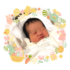 karin_20251226001737