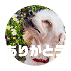 tsuyoshi_20251226083250