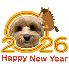 noriko_20251226083525