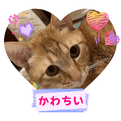 kokomaru_20251226084525