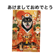 zikoziisan_20251226084403