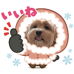 noriko_20251226085323