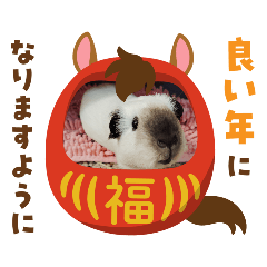 Miyu ShImizu_20251226090847