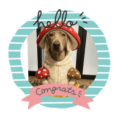 Shuuichi Ueta_20251226091632