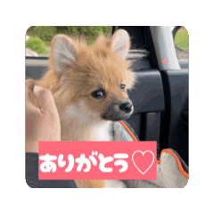 tomooon0328_20251226091342