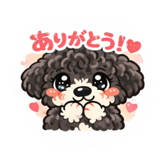 kurogoma_20251226105517