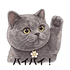 Shinzo_20251224152600