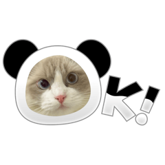 utsumel_20251226111616