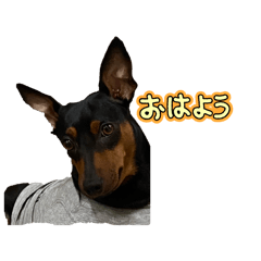 Nacchan_20251226120225