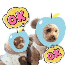 saki._20251226120140