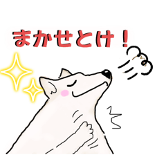 愉快なわんコロたち