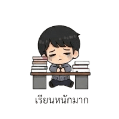 tigerhandsome_20251225205437