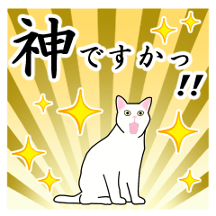 シンプル白猫☆挨拶・ほめる・返事
