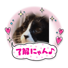 ayumi_20251226064452